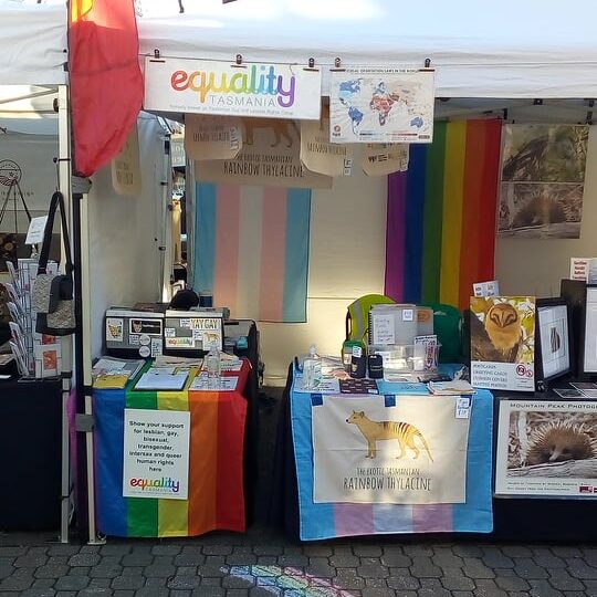 Equality Tasmania stall at Salamanca Market. A rainbow is drawn in chalk on the footpath.